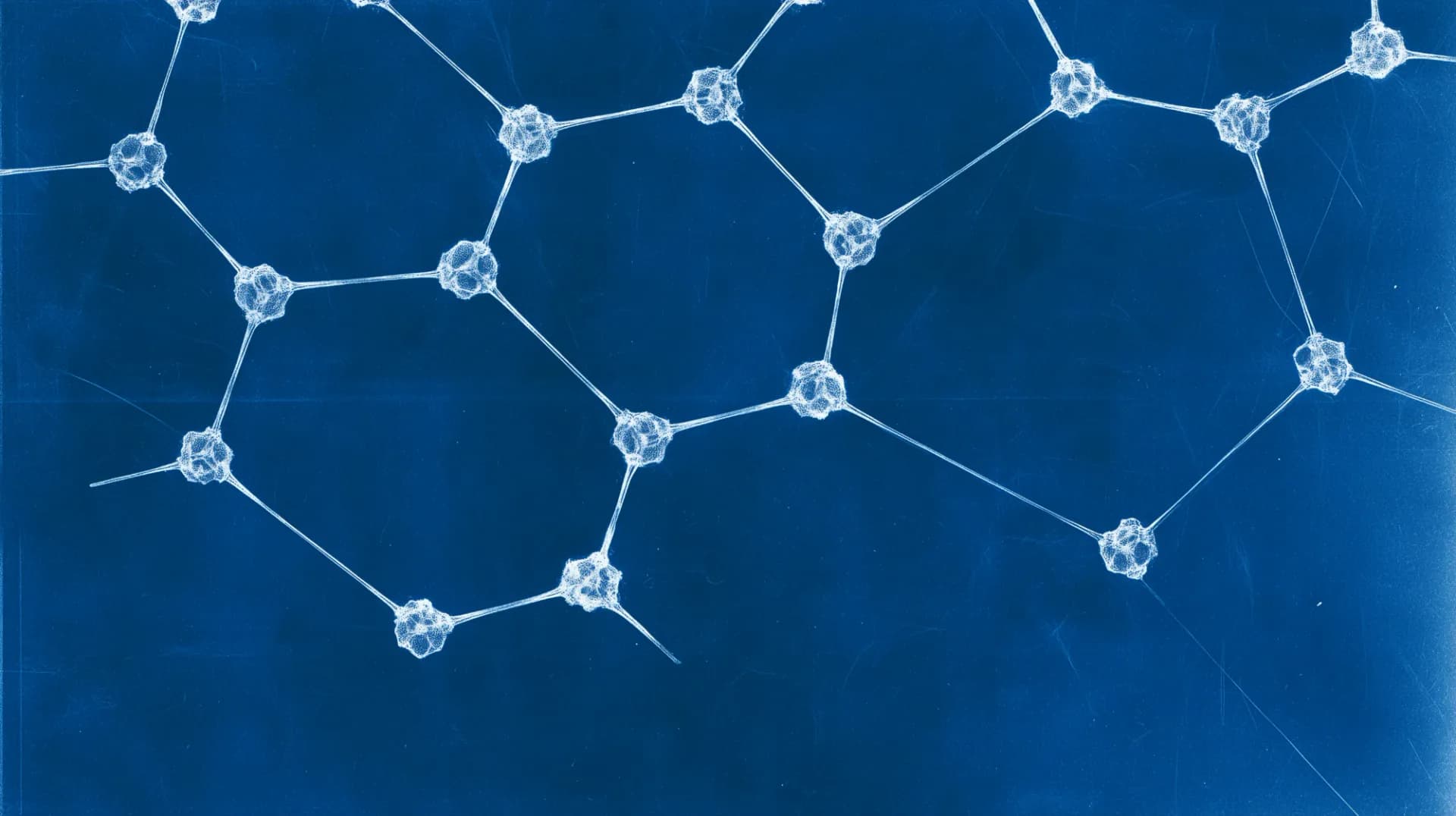 Cyanotype print of a network of hubs